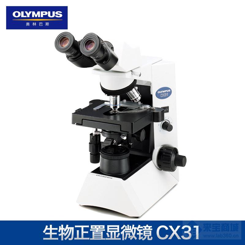 进口奥林巴斯CX31生物显微镜，现货