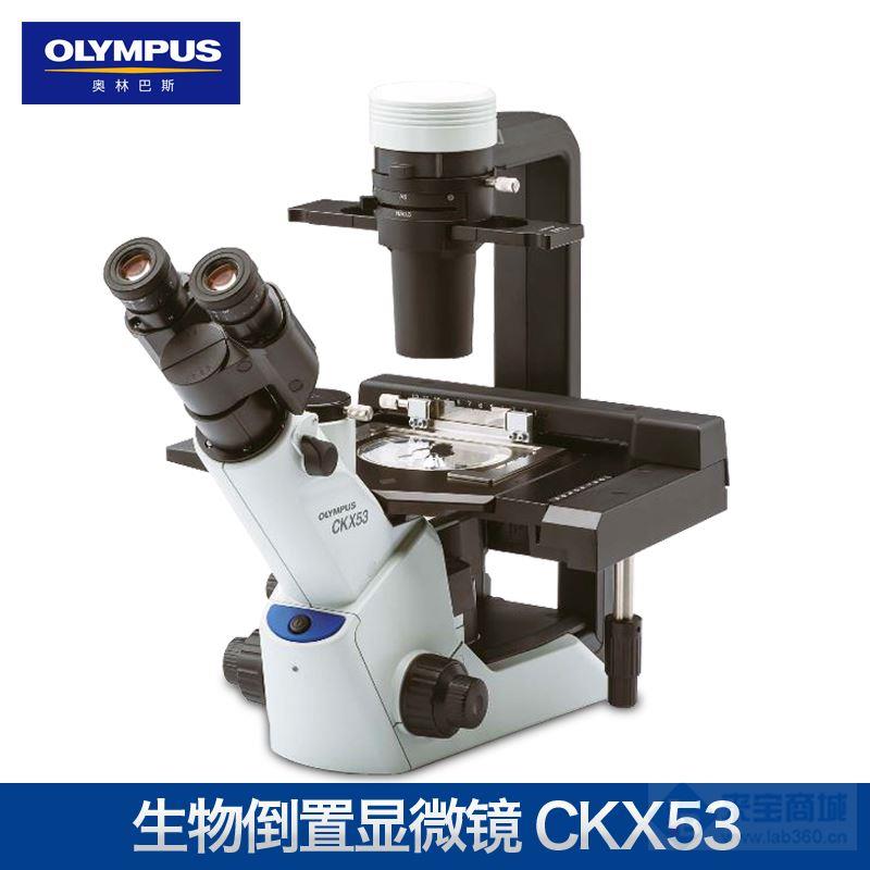 奥林巴斯CKX53倒置生物显微镜，现货销售