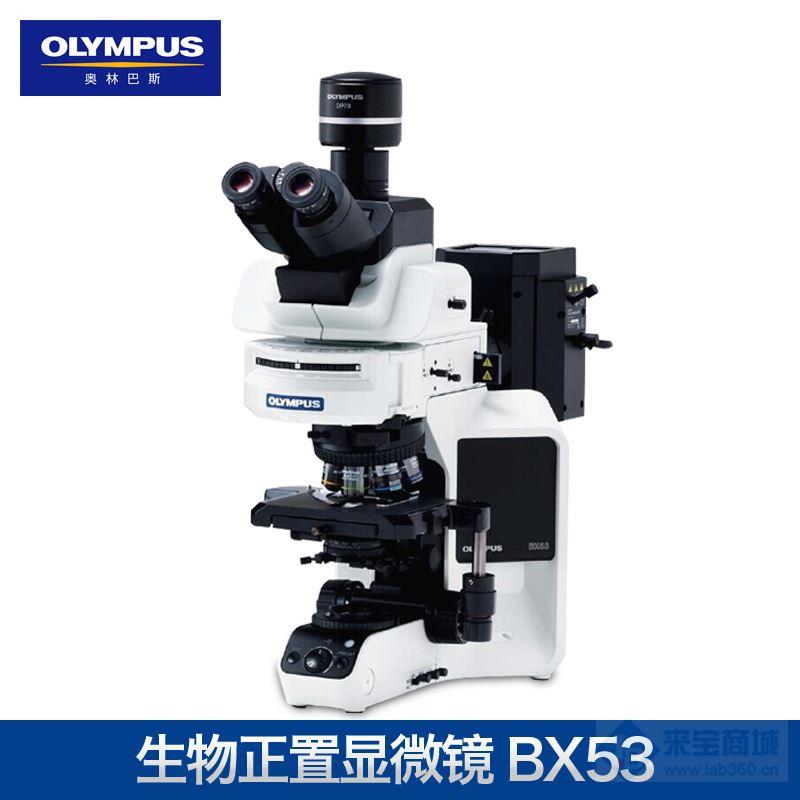 奥林巴斯BX53生物显微镜，现货，双目三目可选