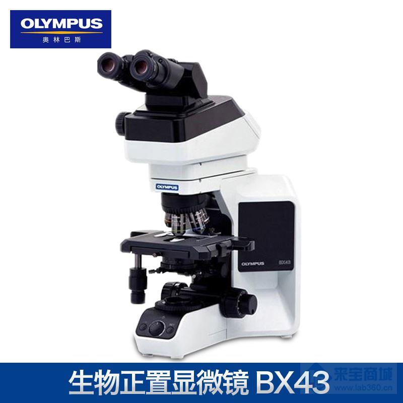 奥林巴斯生物显微镜BX43显微镜，参数