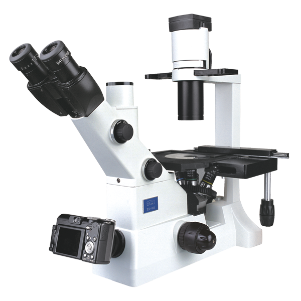 宁波永新XD-202 倒置生物显微镜
